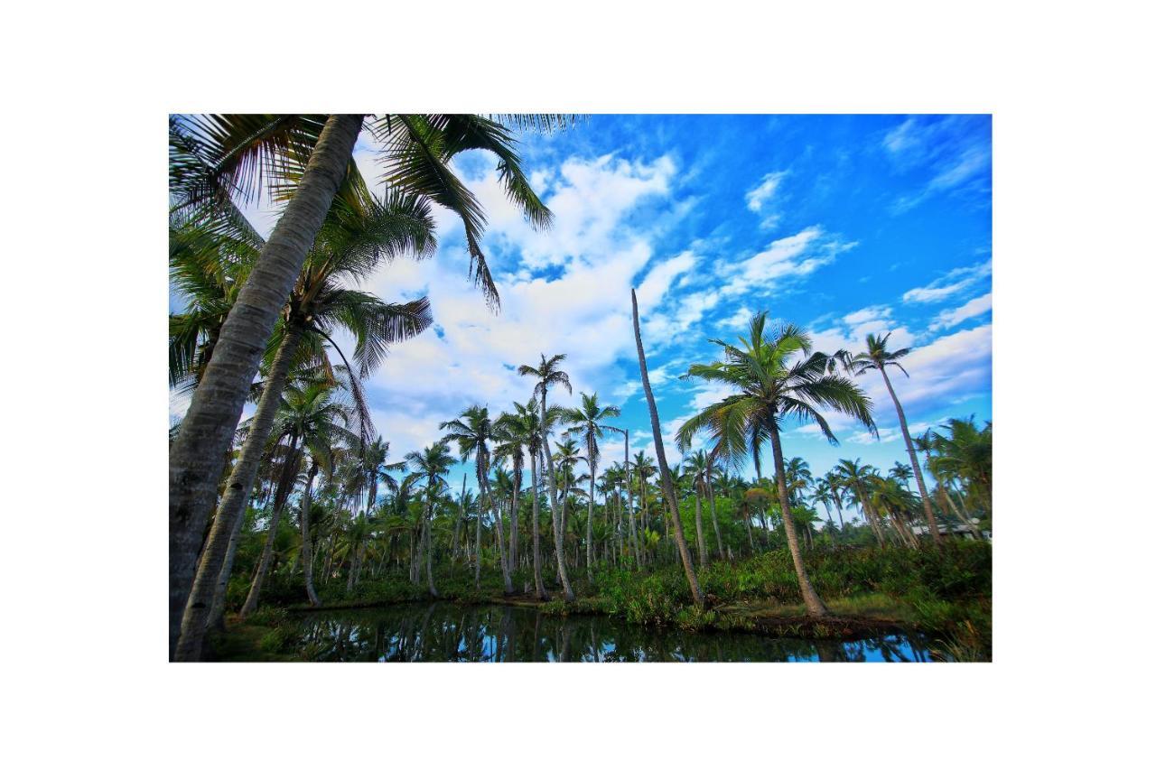 Munroe IslandMunroe Paradise公寓 外观 照片